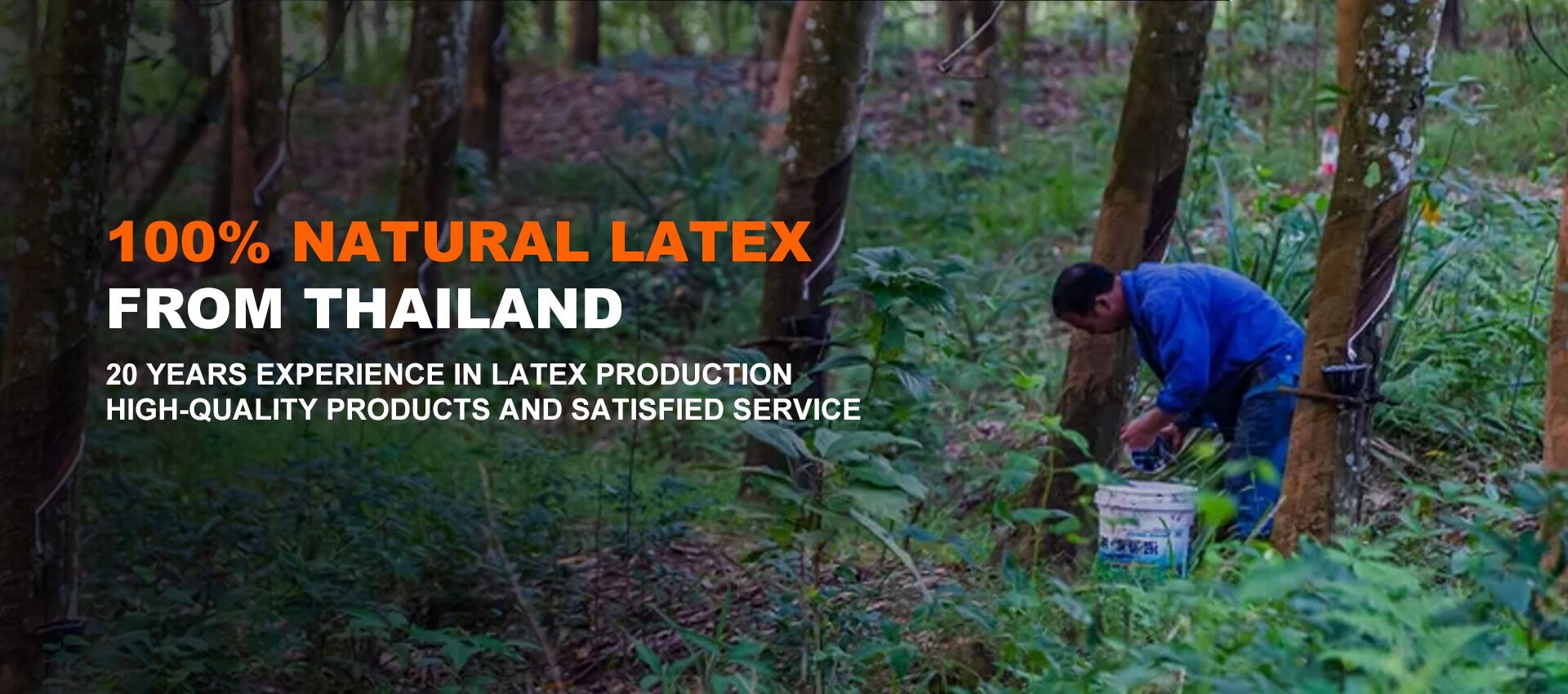 Természetes latex matrac beszállító